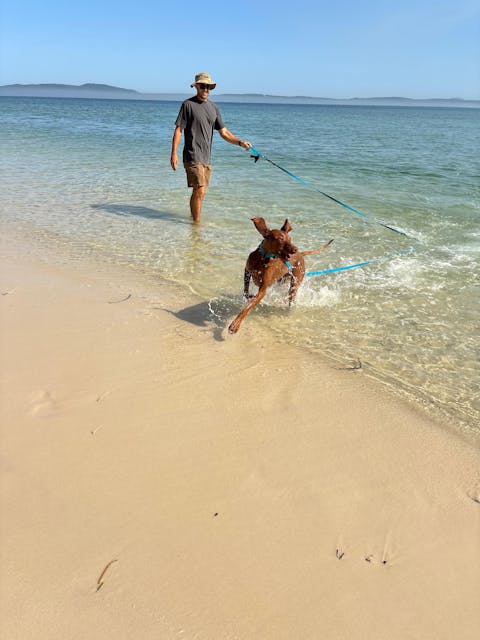 Teal Terraflow Long Line Dog Leash