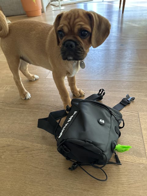 Pro Trainer Dog Treat Pouch