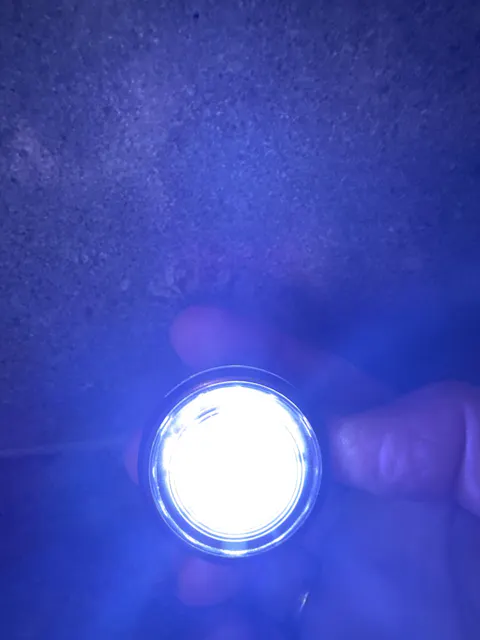 LED Dog Collar Light