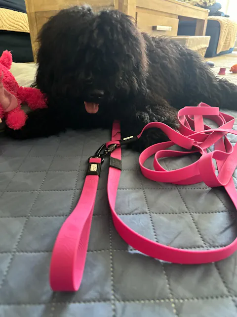 Pink Terraflow Long Line Dog Leash