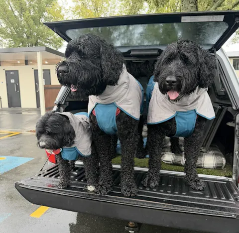 Dog Raincoat Milford