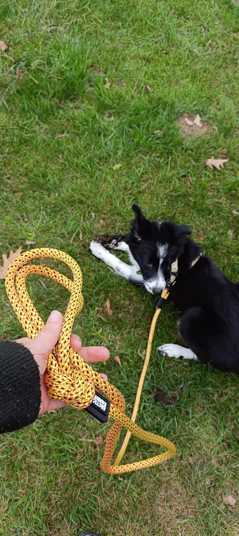 Raglan Rope Dog Leash