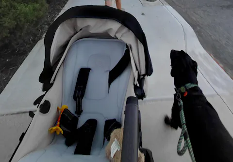 Craigieburn Trail Runner Handsfree Dog Leash