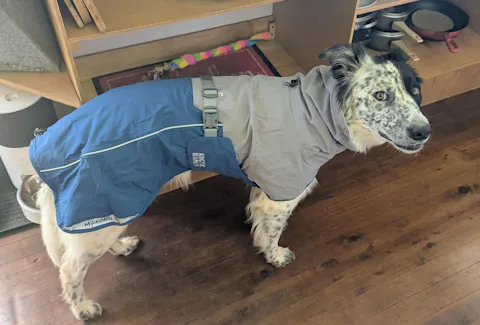 Dog Raincoat Milford