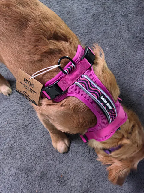 Arctic Sammy Adventure Dog Harness - Pink
