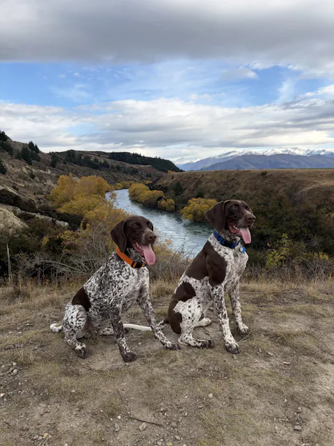 Orange Terraflow Waterproof Dog Collar