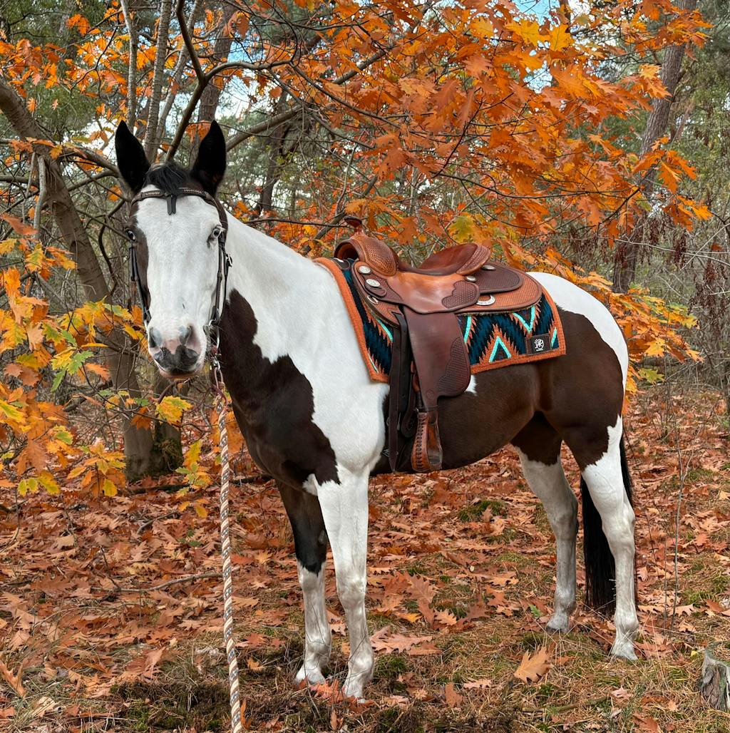 Laat je review achter en ontvang 10 euro korting op je volgende bestelling!