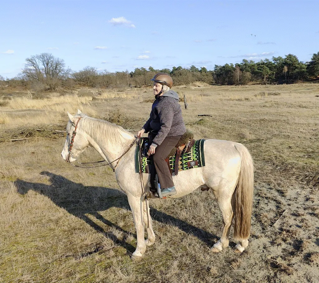 Premium | Western hoofdstel | Emerald Resolve