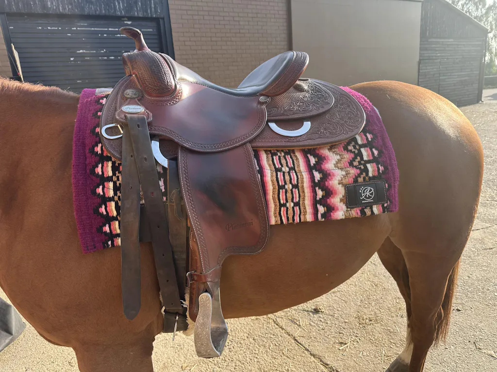 2in1 Show | contoured western pad | Berry Love -SOLD OUT