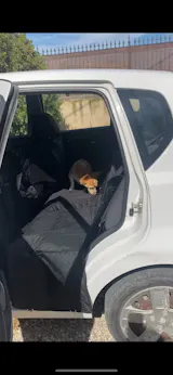 1PC Dog Seat Cover for Back Seat – Waterproof with Mesh Window, Scratch-Resistant Anti-Slip Car Hammock