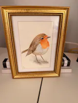 European Robin - Original Watercolor Painting