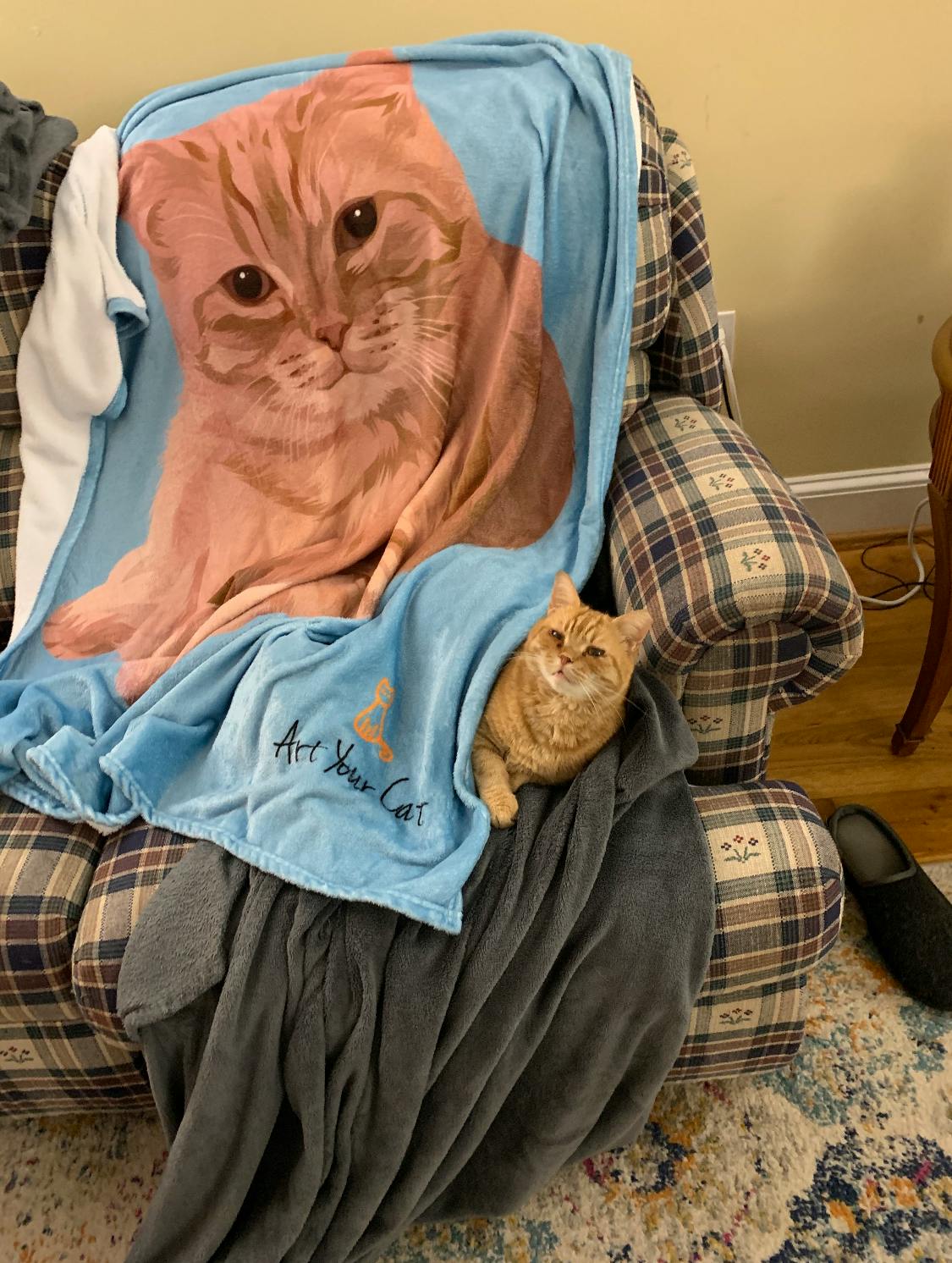 cat snuggie