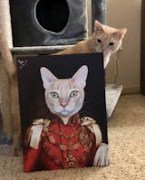 King Kong Cat - 8x10 Purrsonalities print (pet portrait gift art)