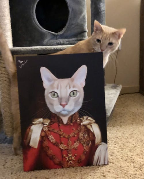 The King - Custom (Your Pet) Royal Portrait