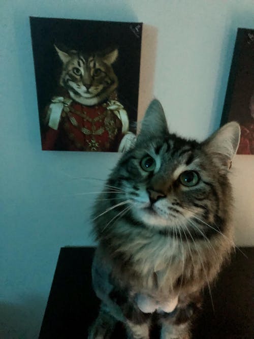 Male Royal Portrait - Custom (Your Pet) Canvas Art