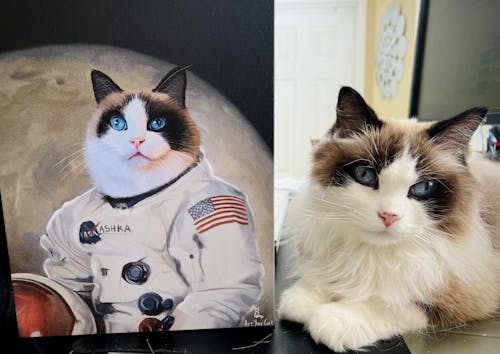The Astronaut - Custom (Your Pet) Portrait