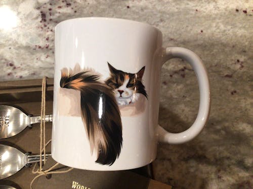 YOUR CAT - White Glossy Mug