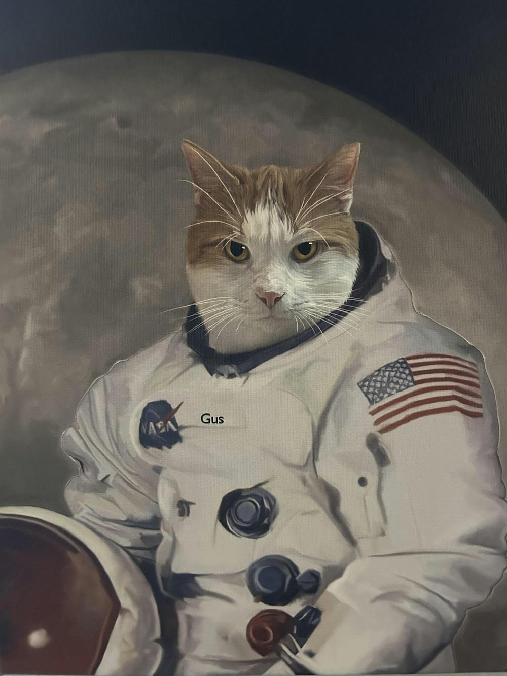 Art Your Cat Newsletter Sign Up for Exclusive Discounts and Feline Fun