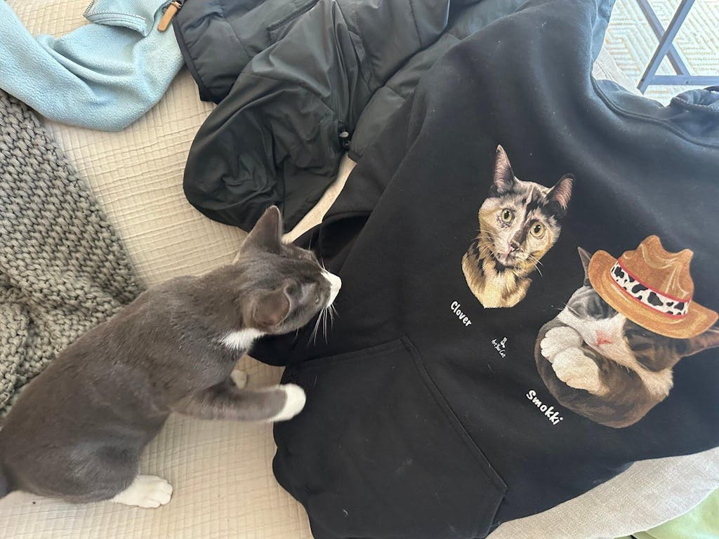 Custom Cat Hoodie - Classic