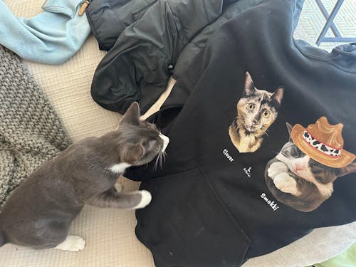 Custom Cat Hoodie - Classic