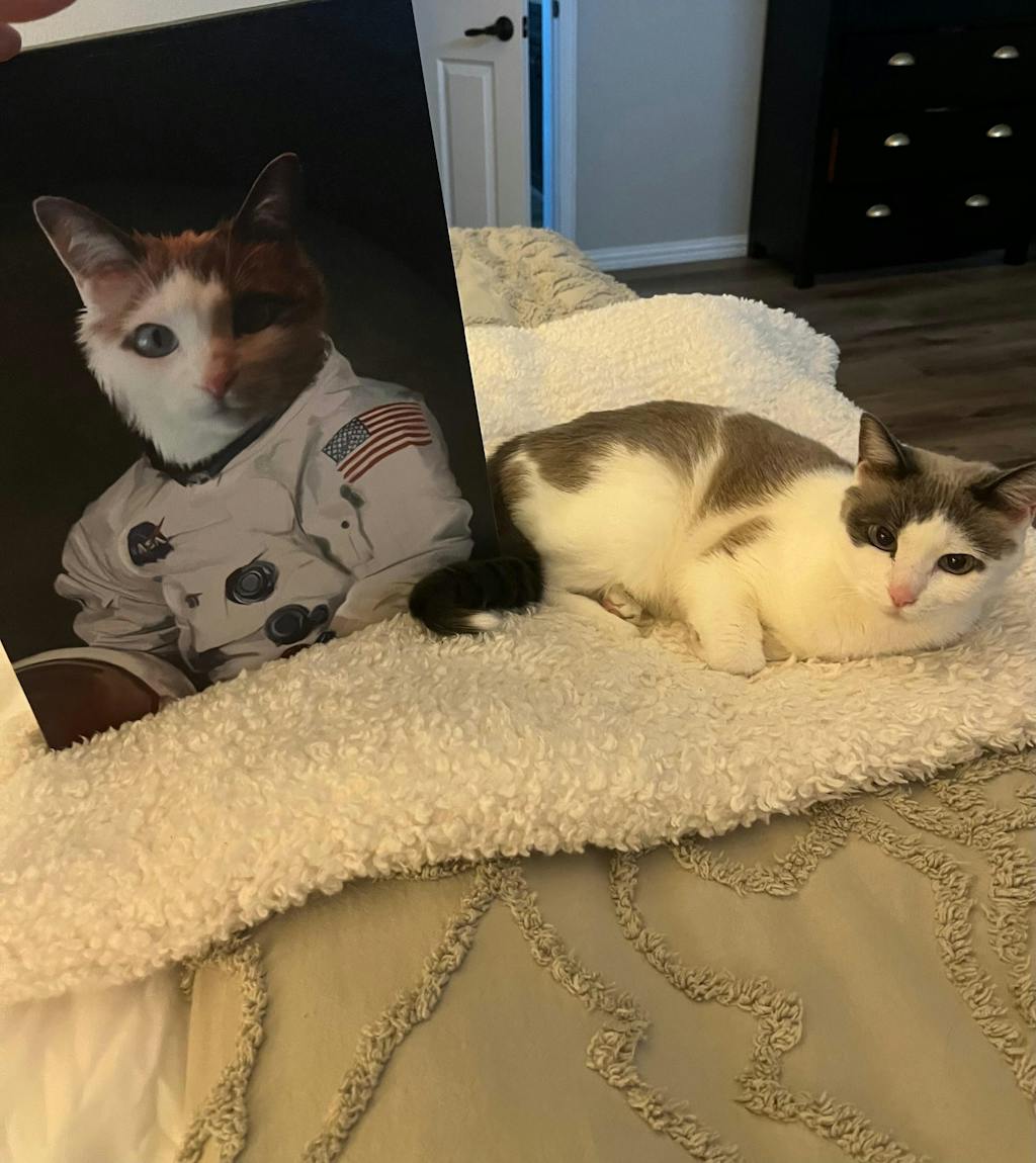 The Astronaut Cat Portrait