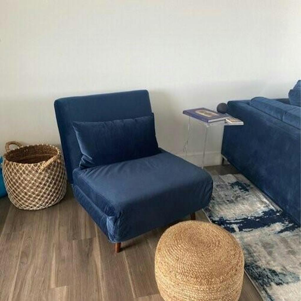 Modern and Comfortable Tustin Velvet Convertible Sleeper Chair Order