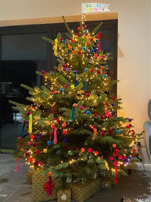 Pom Pom Garlands | 5 Multi-Coloured Pom Pom Strings | Each 1.5m/5ft Long