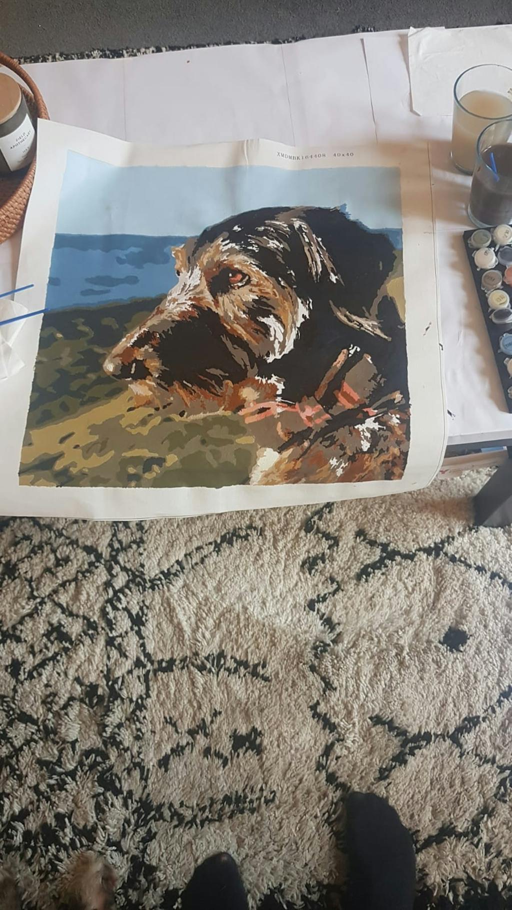 Personalised Photo Custom Diy Paint By Numbers Kits Uk PBN90268