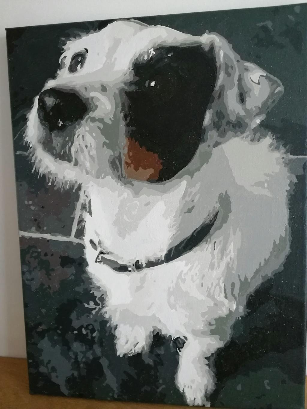 Personalised Photo Custom Diy Paint By Numbers Kits Uk PBN90268