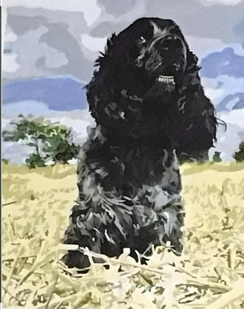 Personalised Photo Custom Diy Paint By Numbers Kits Uk PBN90268