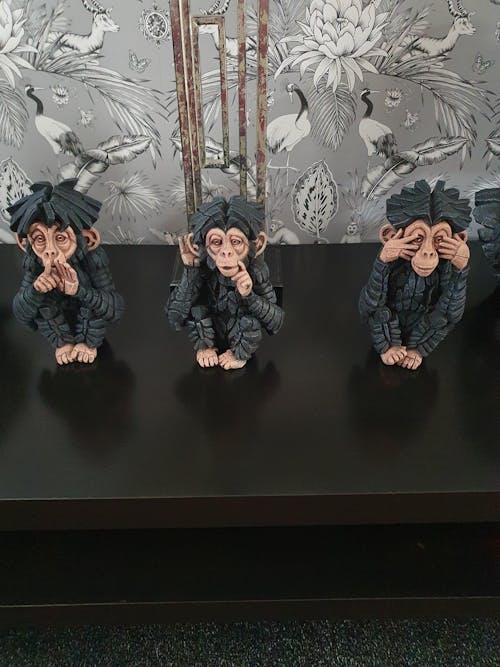 Baby Chimpanzee Hear No Evil