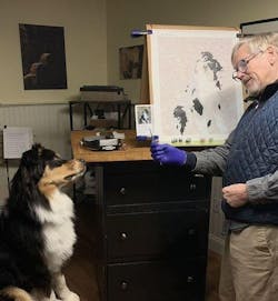 Malen nach Zahlen - Dein Wunschfoto