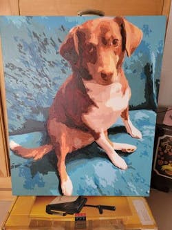 Malen nach Zahlen - Dein Wunschfoto