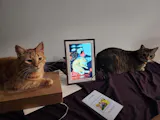User picture