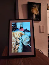 User picture