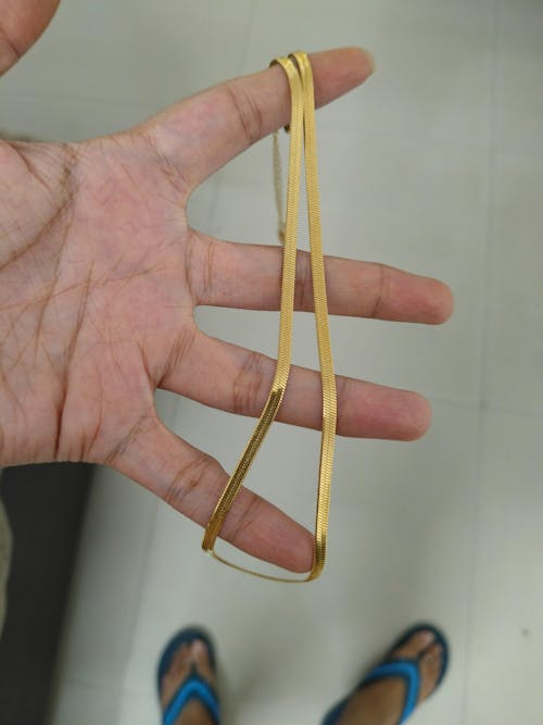 Ashara Sleek Snake Chain Necklace