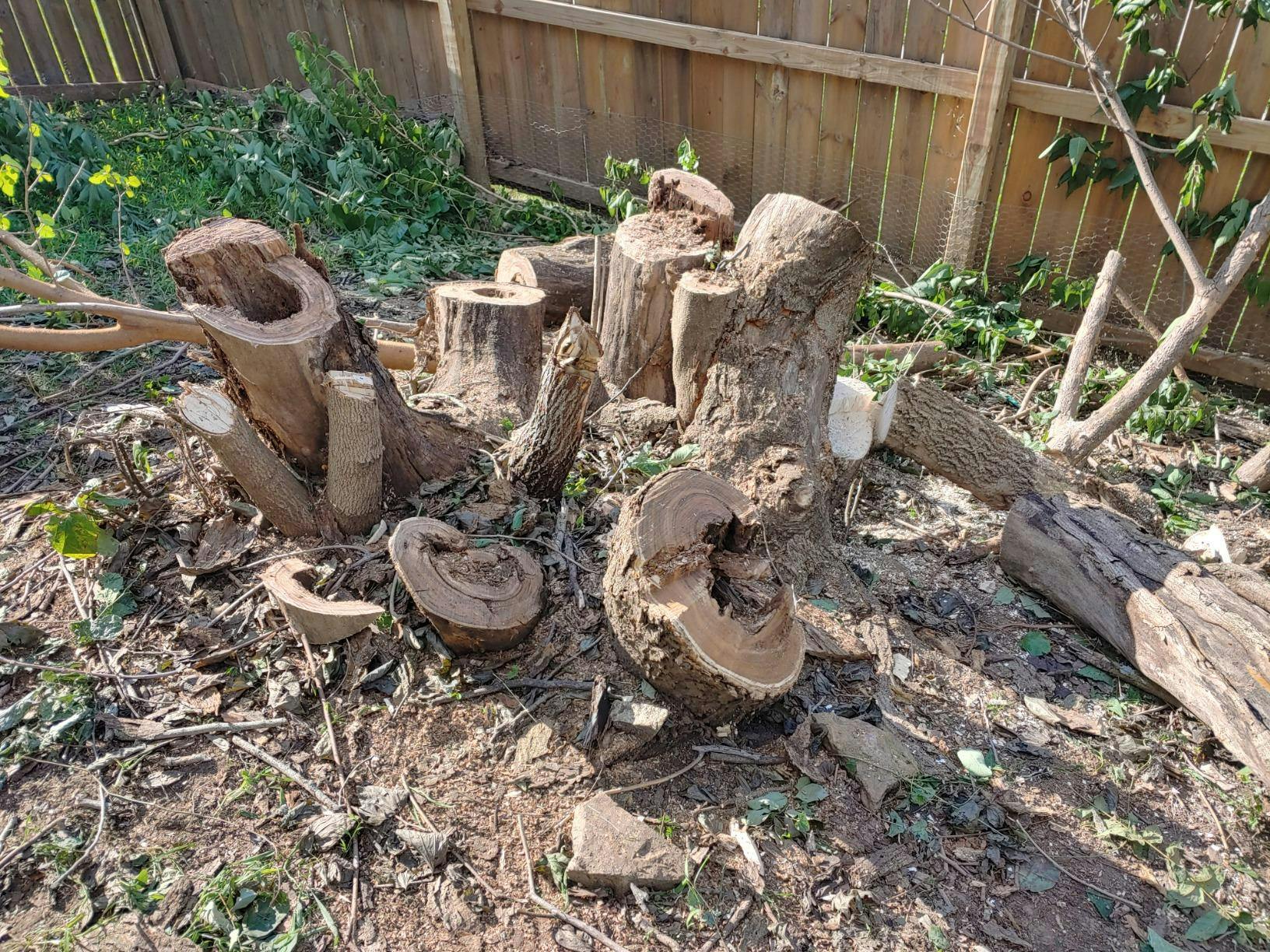 16inch Cordless Handheld Mini Electric Chainsaw Tree Saw For Makita 38