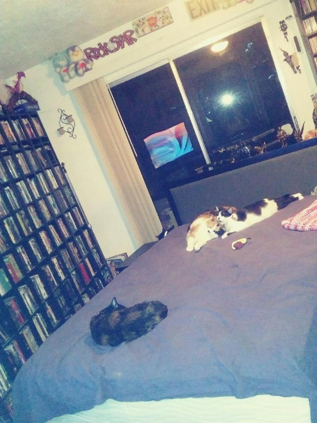 Jenna 10" Queen Innerspring Mattress ASY Furniture