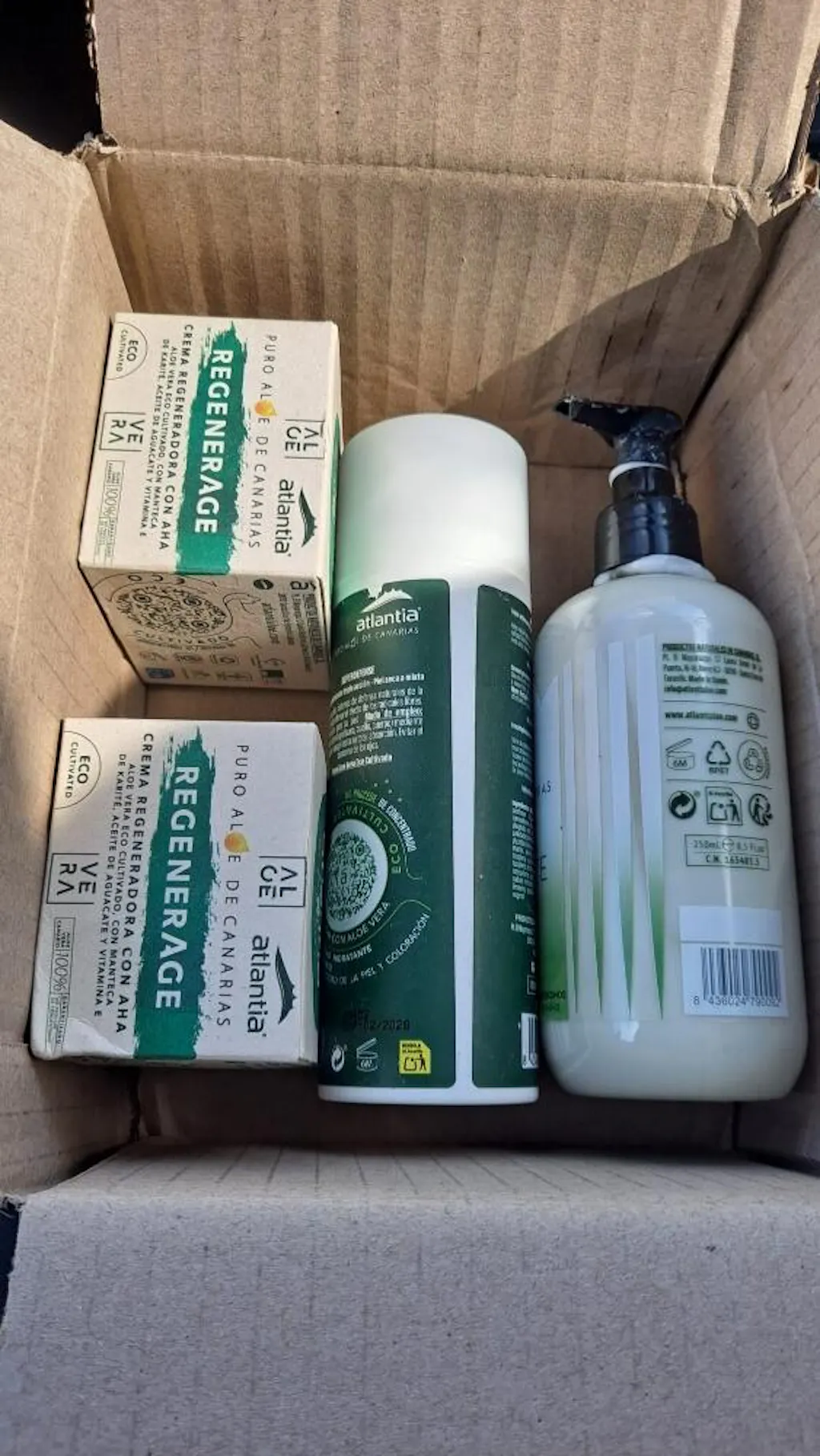 where to get aloe vera plant Aloe Vera Plant - 5 Gal