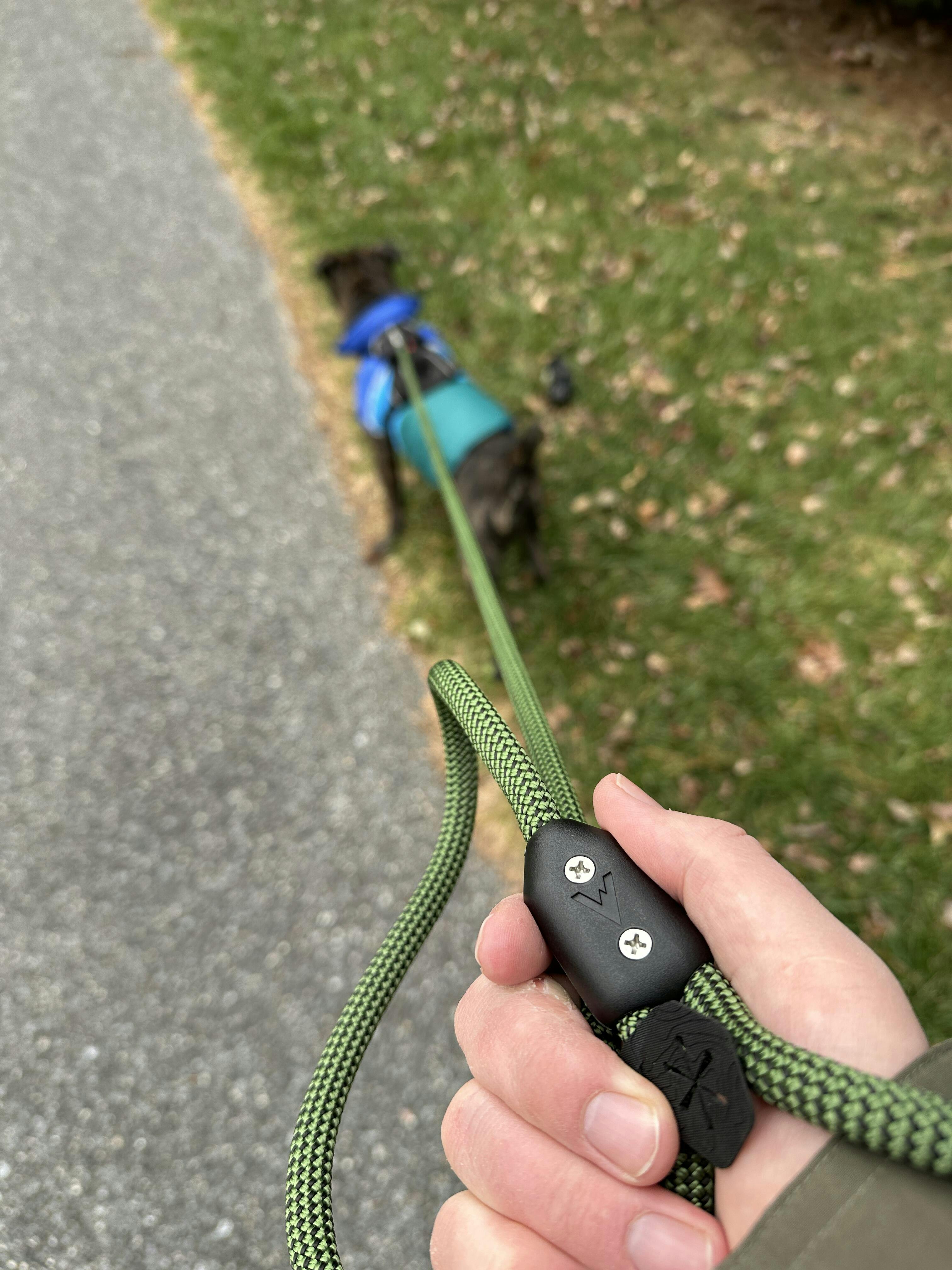 Lifetime Leash