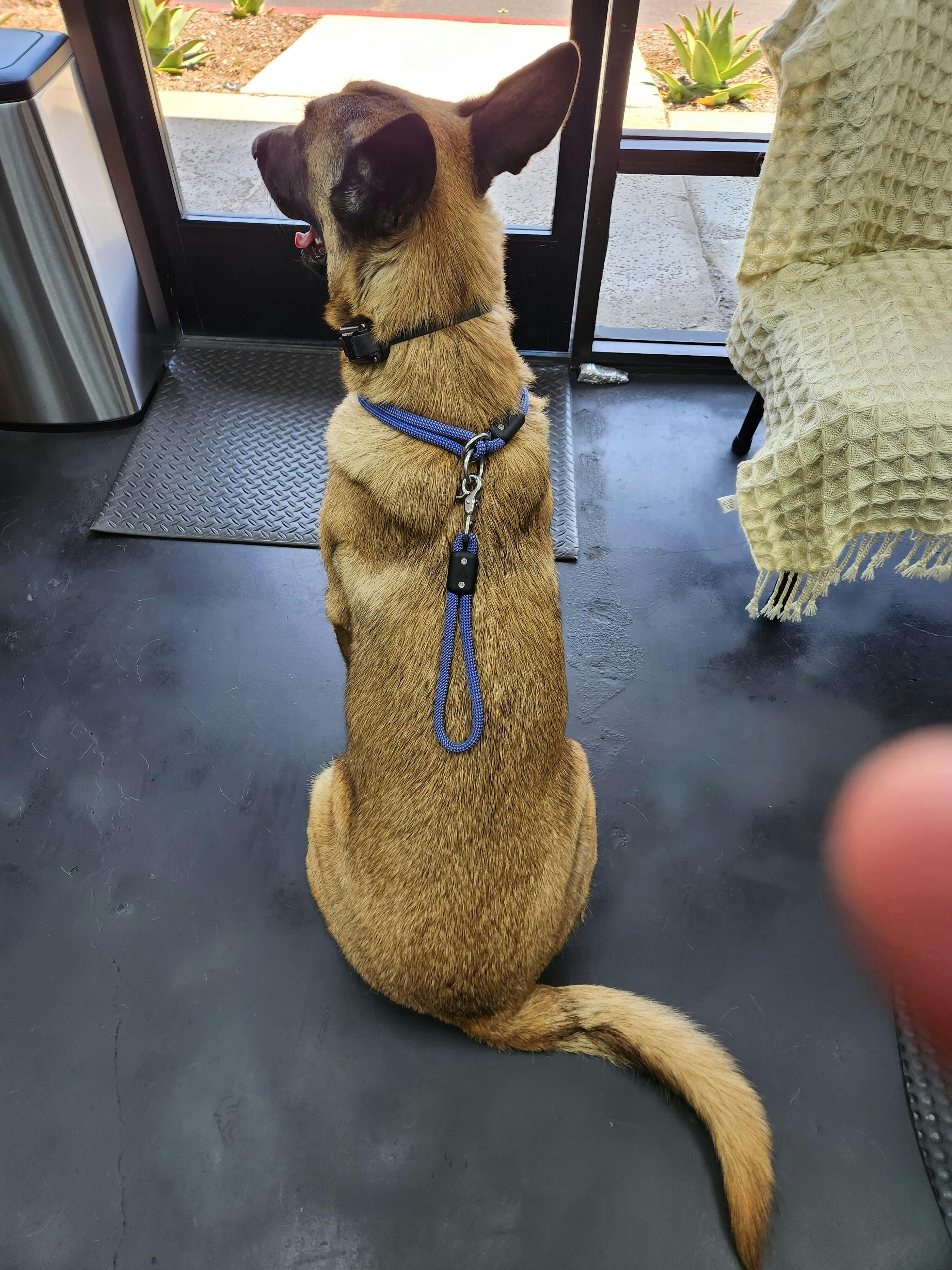 Lifetime Handle - Lifetime Warranty Rope Handle Made in USA