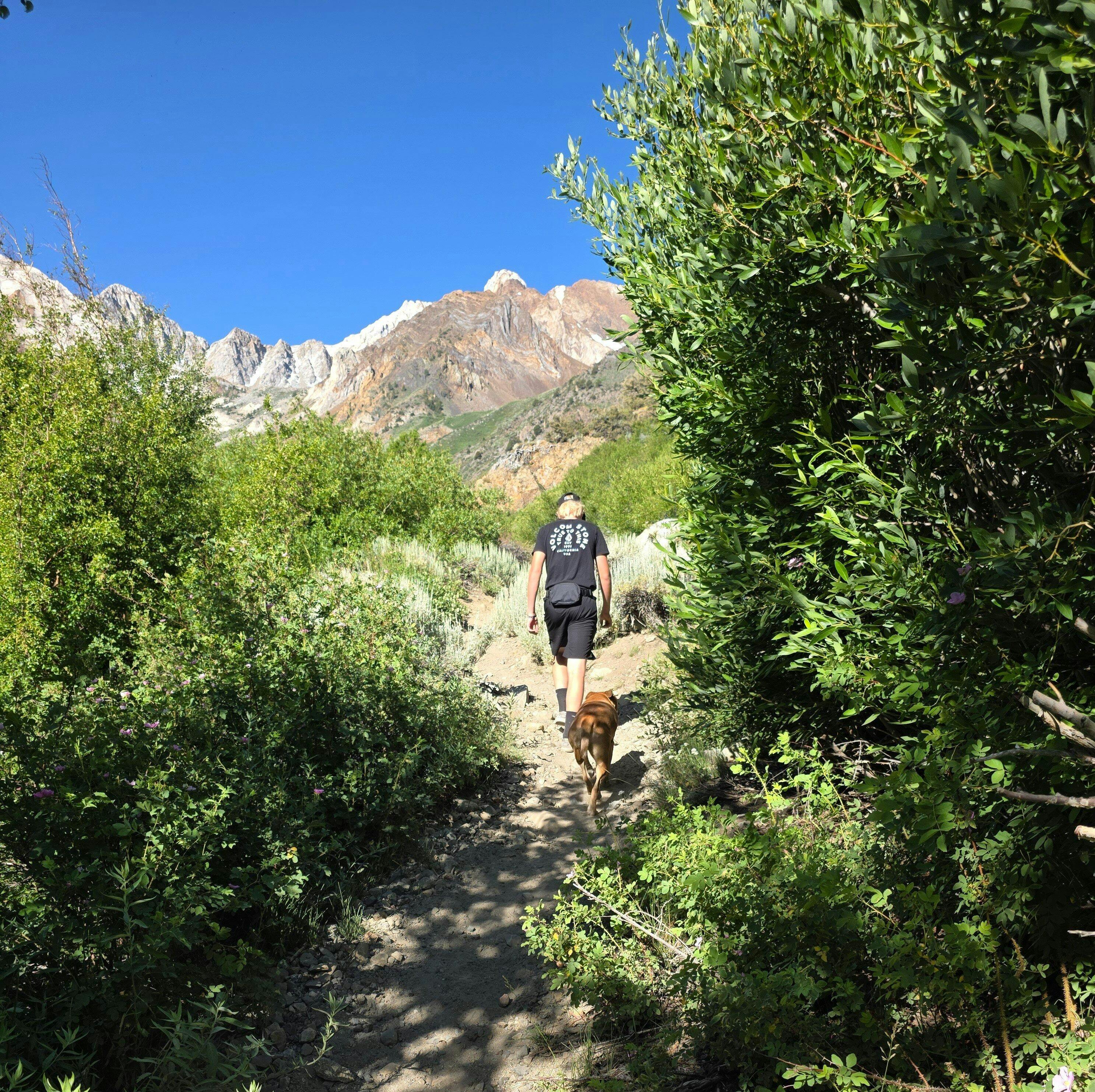 Lifetime Belt Bag™ - Lifetime Warranty Accessory Bag | Made