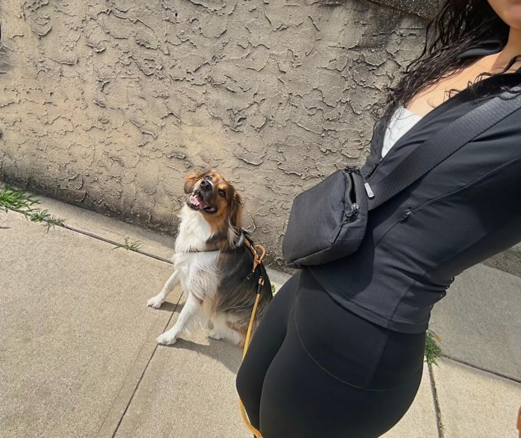 Lifetime Belt Bag™ - Lifetime Warranty Accessory Bag | Made in