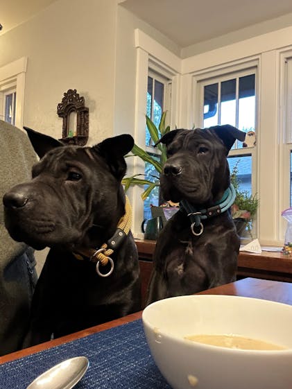 Lifetime Slip Collar™ Lifetime Warranty Climbing Rope Slip