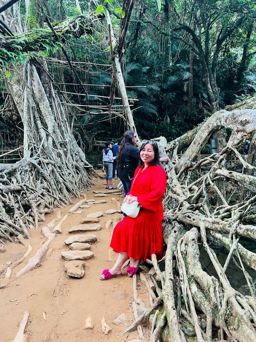 Flair Flairy Red Dress