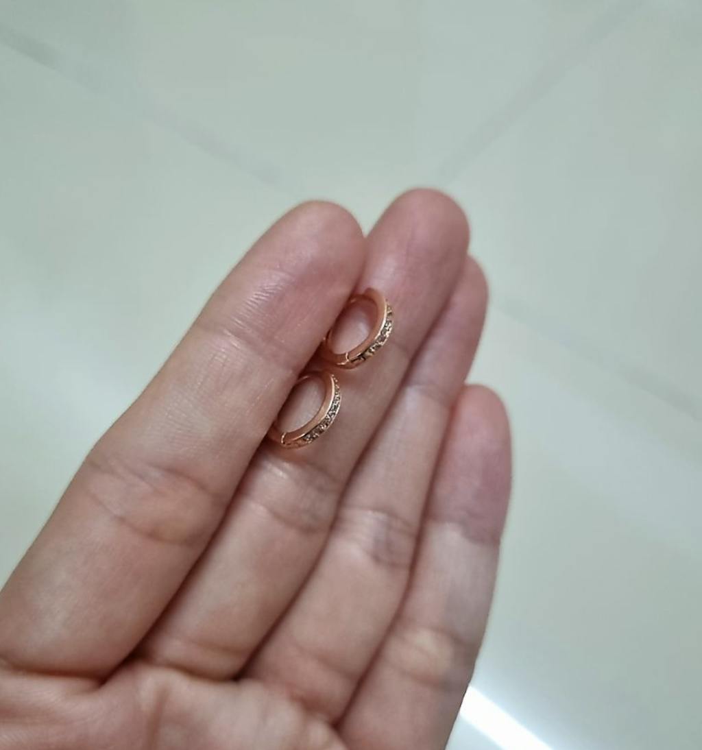 Lunaria Huggie Hoop Earrings