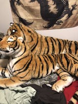 Lifesize Plush Bengal Tiger – Aurora Plasma Design