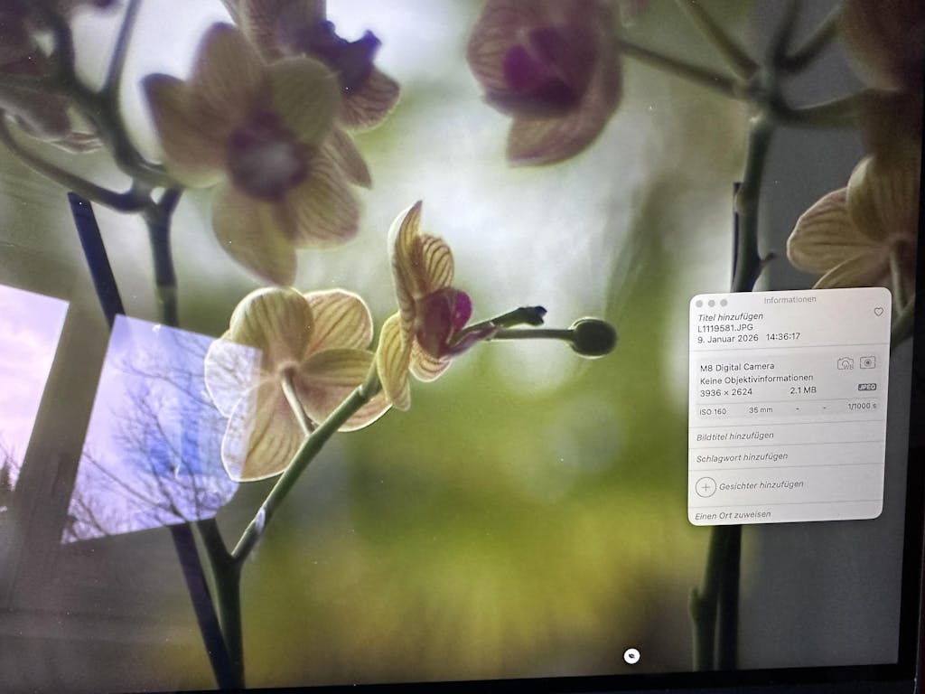 6-Bit Encoder Kit & Spezialstift für Leica M & SL