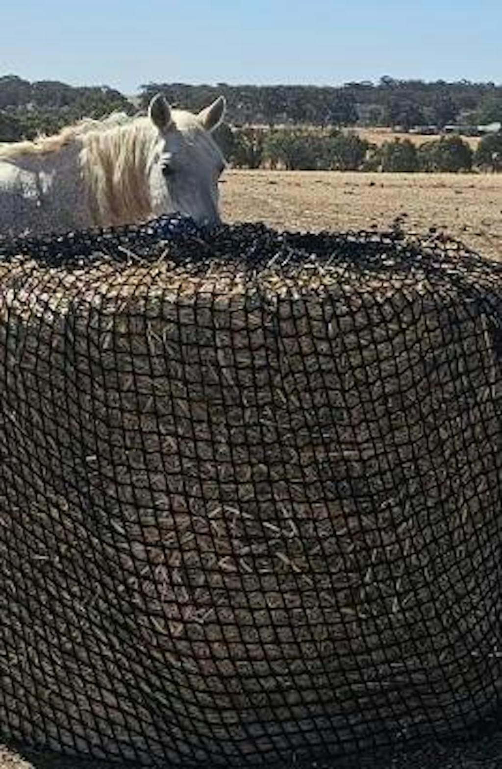 Deluxe Knotless 5x4 Round Bale Horse Slow Feeder Hay Net