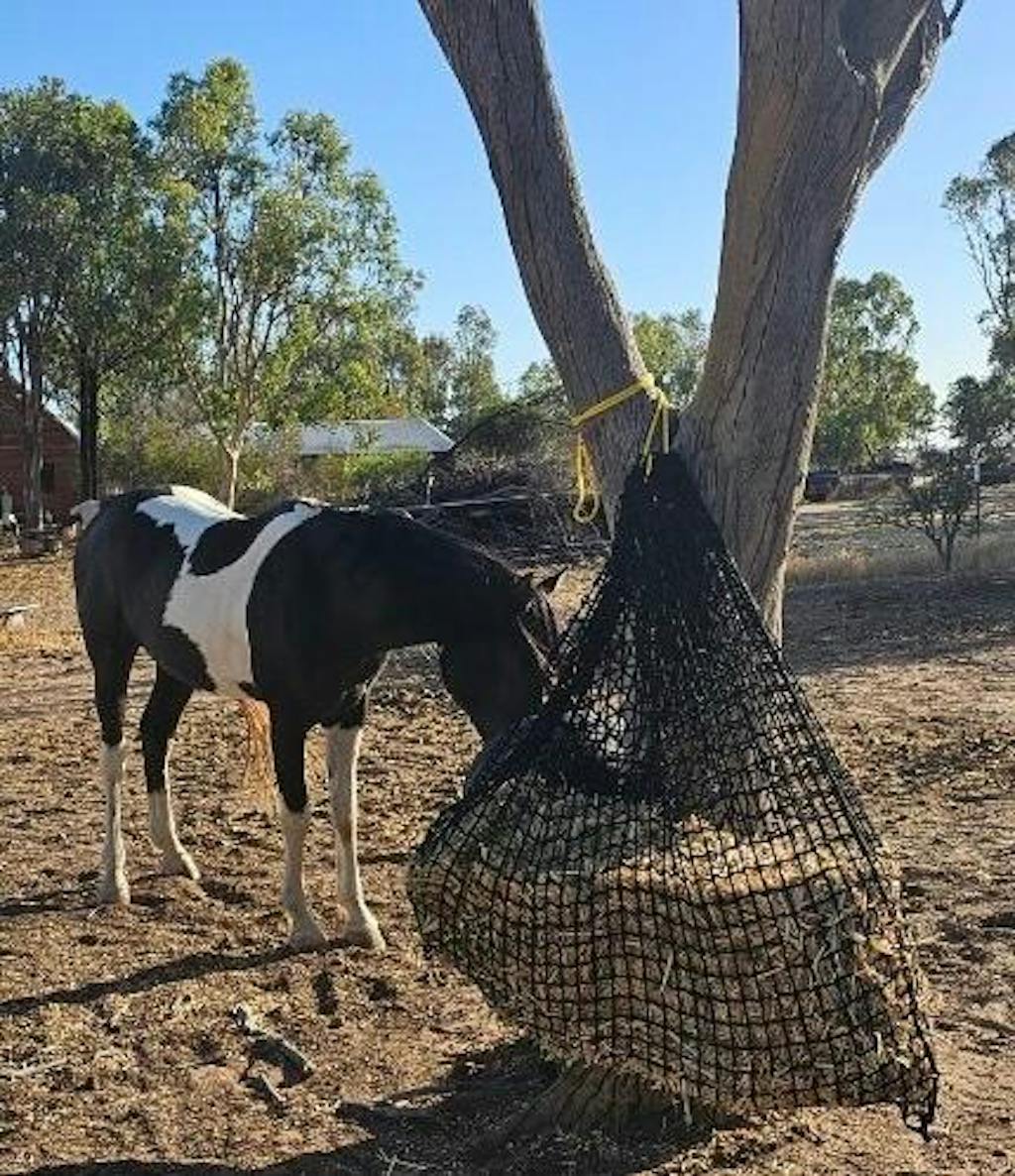 Deluxe Knotless Extra Large Horse Slow Feed Hay Net
